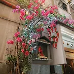 Gma Neapol